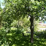 Guest house La Pomme De Pin Raedersdorf