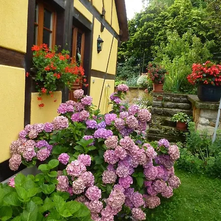 Maison d'hôtes La Pomme De Pin
