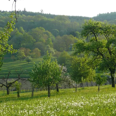 La Pomme De Pin 3* Raedersdorf